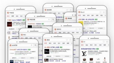 卡地亞、寶格麗、LV等奢侈品牌如何借移動(dòng)搜索拓展市場(chǎng)邊界？