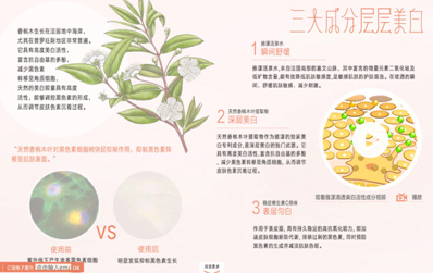 十年精彩，十年優雅——和劉蕓一起感受凈白雅漾