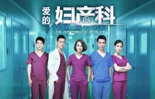 愛的婦產科電視劇 愛的婦產科全集 