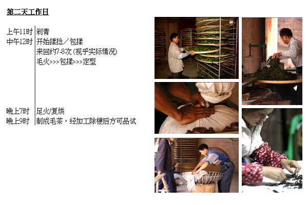 2013年福茗堂，秋茶傳統鐵觀音采茶