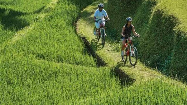 巴厘島雙四季酒店度假體驗，山妍＋金巴蘭灣