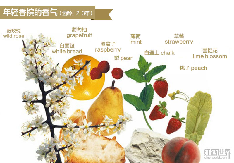 圖解香檳的香氣發展規律