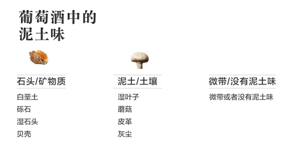 葡萄酒香氣，是神馬還是浮云？
