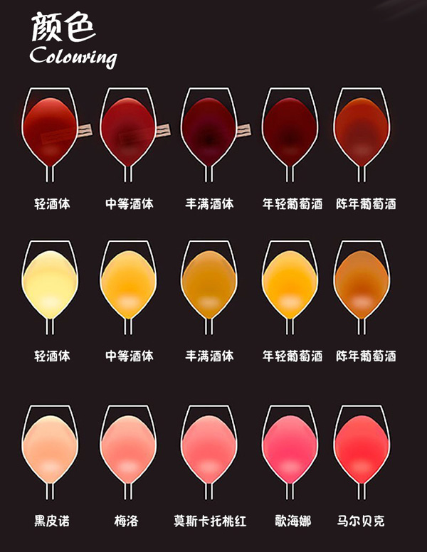 讀懂這9張圖，從葡萄酒“磚家”變“專家” 
