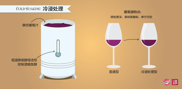 影響葡萄酒風味的6大釀酒工藝