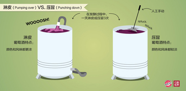 影響葡萄酒風味的6大釀酒工藝