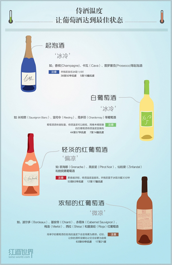 每個人都應該知道的侍酒常識