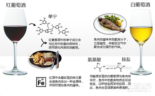 “紅酒配牛排”的真實原因，一張圖就夠用了！