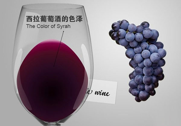 美酒課堂：如何飲用西拉葡萄酒？