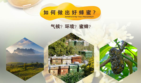 你真的了解蜂蜜嗎？