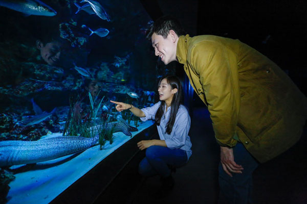 中國(guó)情侶入住Airbnb巴黎水族館，和鯊魚(yú)“共眠”