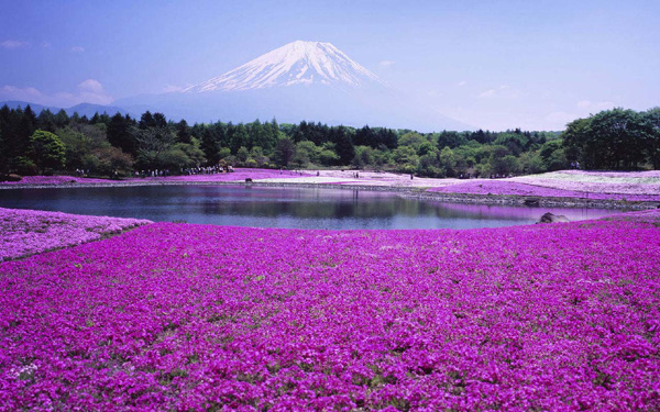 史上最完整北海道深度游地圖，給你一個(gè)愛上北海道的理由！
