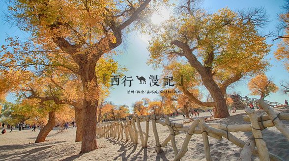 錯(cuò)過就要等一年，再過不久，這里將進(jìn)入全年中最美麗的時(shí)節(jié)！