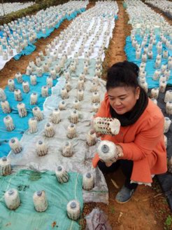 安發生物扶貧項目再獲佳績