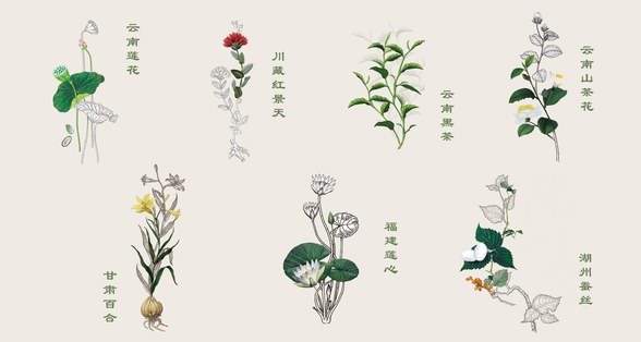 相宜本草引領首個中草藥護膚協會成立