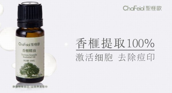 中韓聯合打造護膚品牌圣榧歐，中國香榧產業邁向國際
