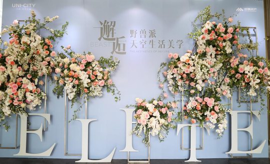 《萬科·天空之城！萬人打卡，155ELITE展示間開放》