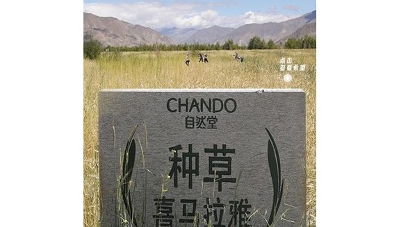 自然堂雙十一點亮全球地標再出發 與消費者相約天貓云端見證收獲