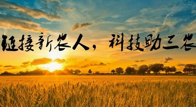 重磅！2021年中央一號(hào)文件發(fā)布，提出全面推進(jìn)鄉(xiāng)村振興
