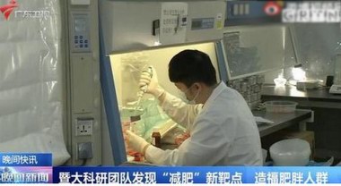 白細胞介素可直接燃燒脂肪靶點被發(fā)現(xiàn)，躺平減肥不是夢
