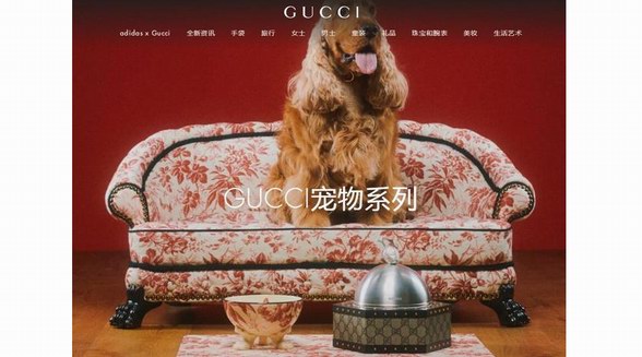 寵物奢侈品成潮流，Gucci、LV、愛馬仕等大牌搶灘“它經(jīng)濟(jì)”，一張寵物床賣7萬