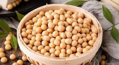 運動減脂人群，為什么對大豆蛋白“情有獨鐘”？
