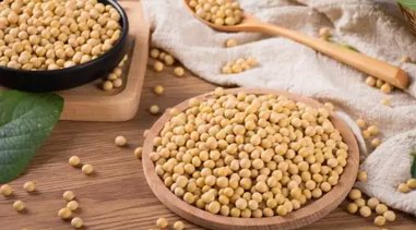 大豆蛋白是智商稅嗎？動物蛋白和植物蛋白哪個更好？