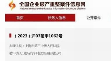 威馬汽車申請破產(chǎn)重整——曾經(jīng)的造車第一梯隊(duì)，燒光300多億