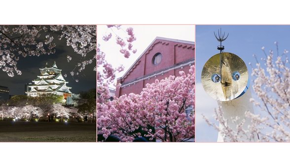  在櫻花盛開的季節(jié)去日本旅行！去大阪名勝賞櫻，去梅田阪急購物！！