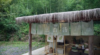 真不二引領東方養生新風尚，打造國民身心健康生態