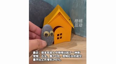 這屆年輕人突然喜歡養石頭寵物 小眾市場需求旺盛
