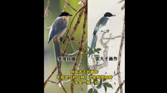 李現 “打鳥”作品與張大千畫作神似  生態藝術引跨時空對話