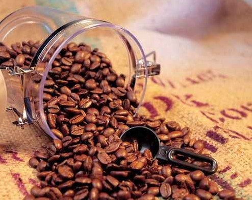 Kopi Luwak印尼魯瓦克咖啡豆，世界上最貴的咖啡豆
