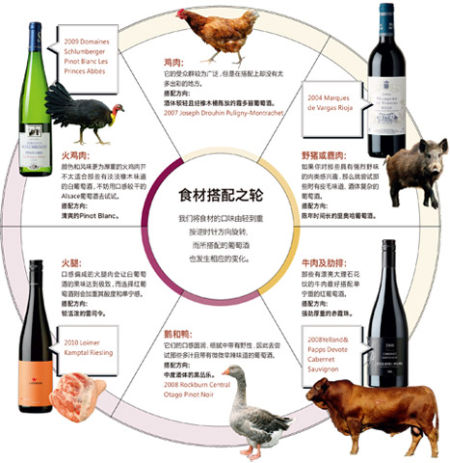 葡萄酒搭配心經