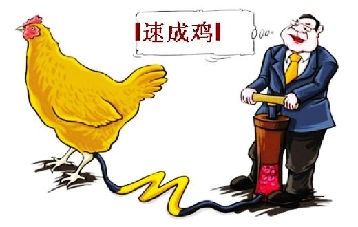 速生雞事件追蹤：新希望稱仍在調查 拷問政府監管公權力